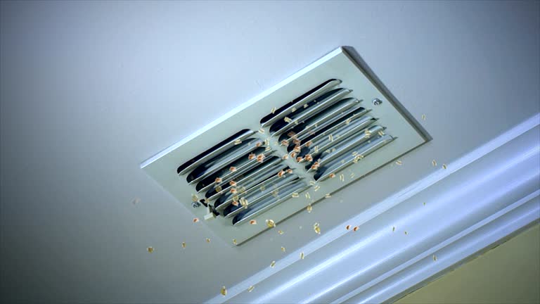 Best HVAC System Cleaning  in Coyne Center, IL
