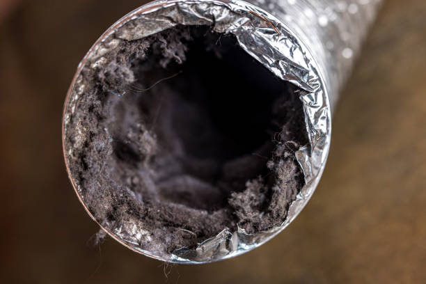 Best Best Air Duct Cleaning Company  in Coyne Center, IL