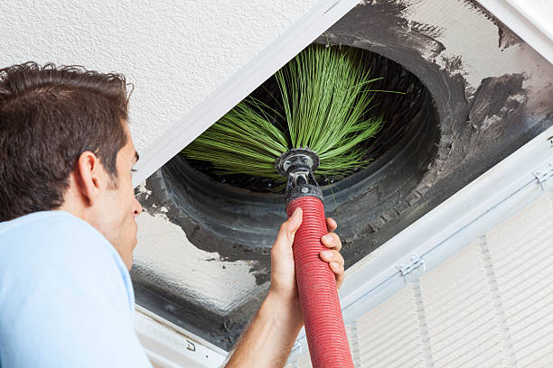 Best Air Vent Cleaning Services  in Coyne Center, IL